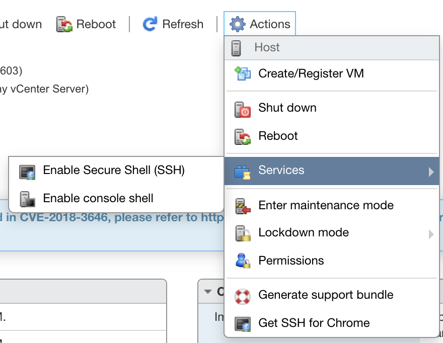 Running the DietPi VMware image on ESXi 6.7